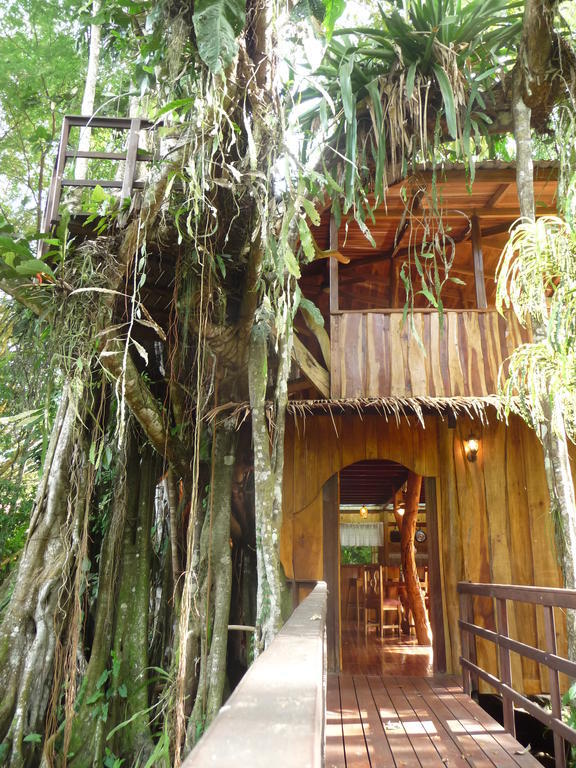 Topos Tree House Cahuita Habitación foto