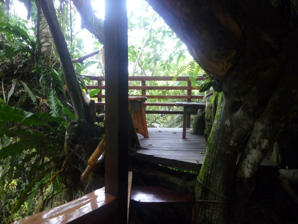 Topos Tree House Cahuita Exterior foto